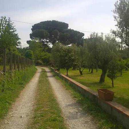 Bed & Breakfast Casa Di Meco Cittanova (Calabria)