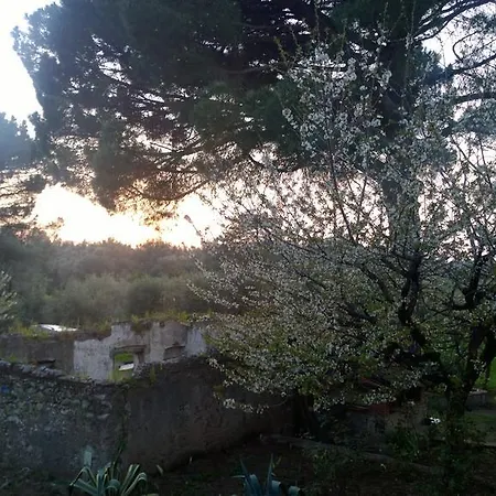 Casa Di Meco