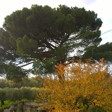Casa Di Meco Bed & Breakfast